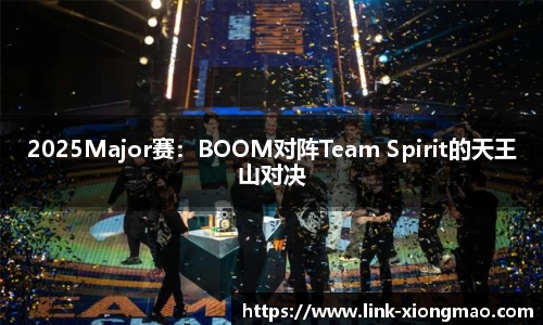 2025Major赛：BOOM对阵Team Spirit的天王山对决