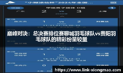 巅峰对决：总决赛排位赛聊城羽毛球队vs贵阳羽毛球队的精彩纷呈较量